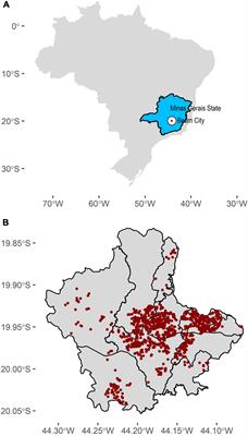 Seroprevalence, Prevalence, and Genomic Surveillance: Monitoring the Initial Phases of the SARS-CoV-2 Pandemic in Betim, Brazil